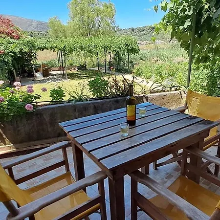 Timotheos Basic Hotel *