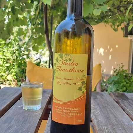 Timotheos Basic Hotel